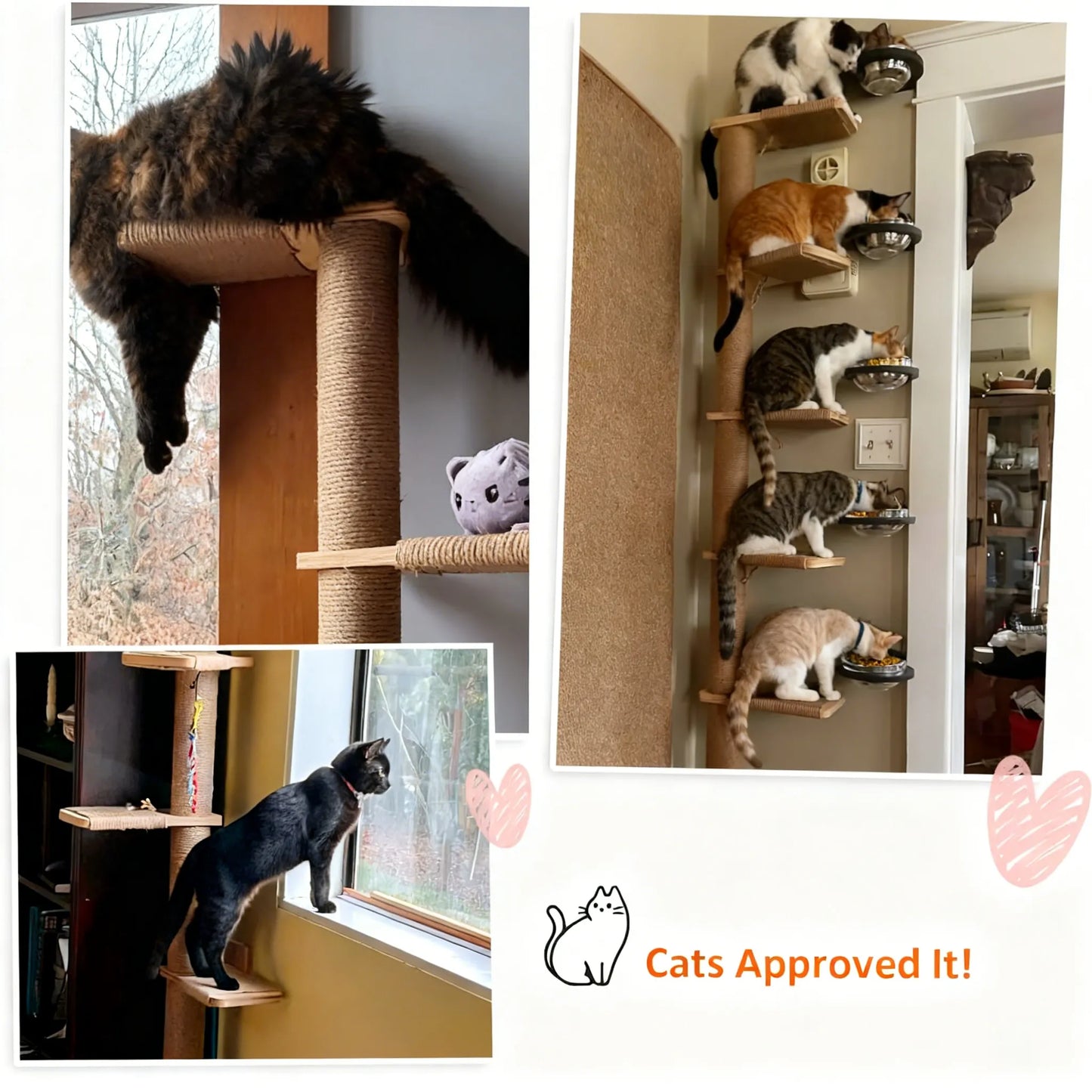 Tall Cat Tree, 5-Tier Floor-to-Ceiling Tower, Wall-Mounted Scratching Post & Wild Shelves, Perfect for Climbing & Play